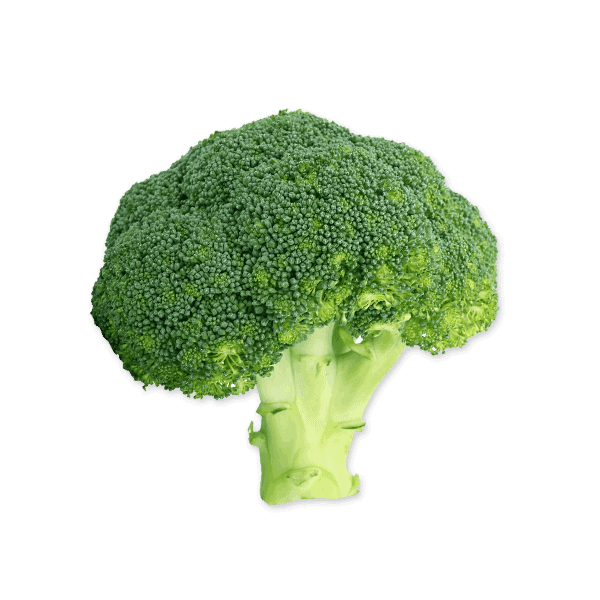 Broccoli 600x600