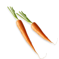 Carrots 600x600