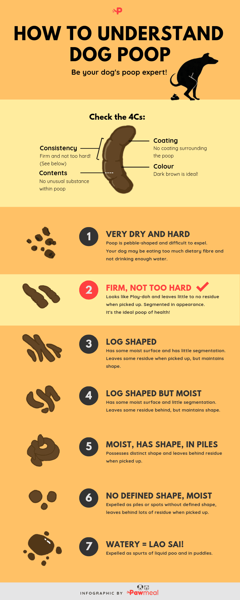 Types of poop: Appearance, color, and what is normal