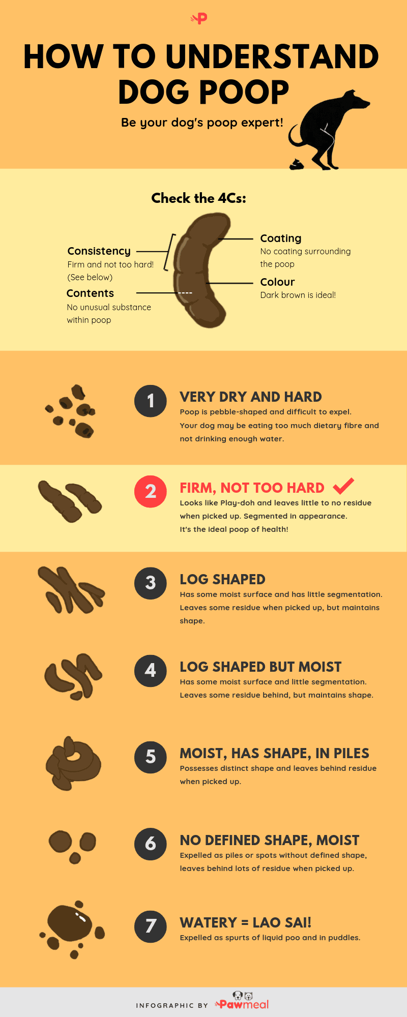 How to Understand Dog Poop with Stool Chart Infographic