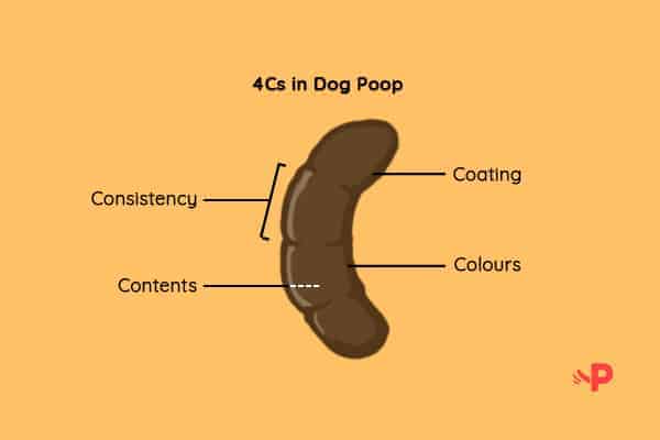 Pawmeal 4C Dog Poop