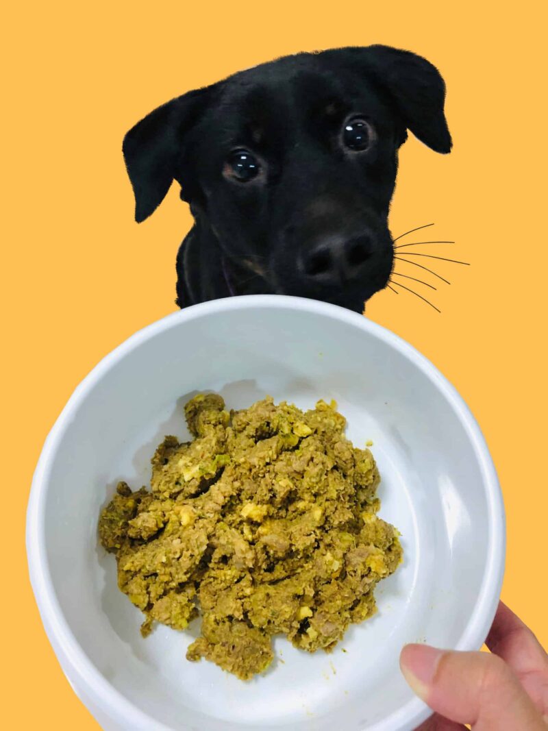 Black Friday Pawmeal Assorted Fresh Dog Food - BUY 12 FREE 5 (29% OFF) - Image 2