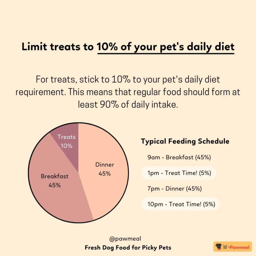 Feeding Your Dog Treats With the 10% Golden Rule