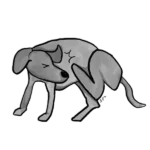 Pawmeal-allergic-conditions