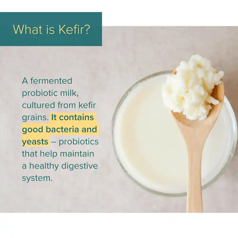 What is kefir?